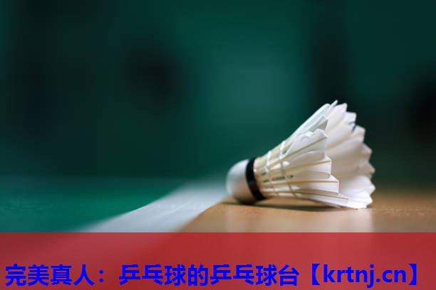 乒乓球的乒乓球台 乒乓球的乒乓球台