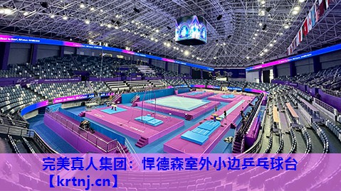 悍德森室外小边乒乓球台 悍德森室外小边乒乓球台