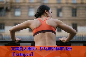 乒乓球台标准几张 乒乓球台标准几张