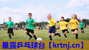 星露乒乓球台 星露乒乓球台