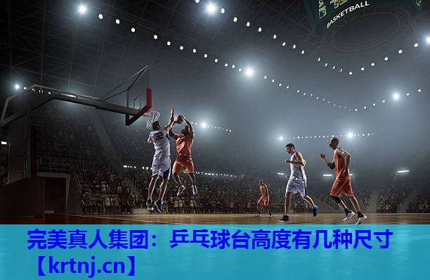 乒乓球台高度有几种尺寸 乒乓球台高度有几种尺寸