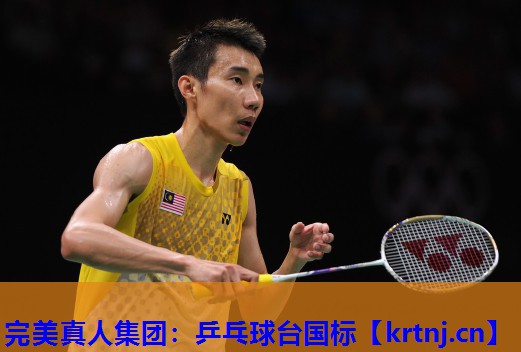 乒乓球台国标 乒乓球台国标