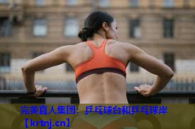 乒乓球台和乒乓球岸 乒乓球台和乒乓球岸