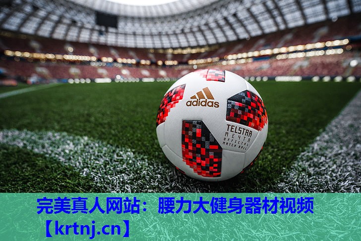 腰力大健身器材视频 腰力大健身器材视频