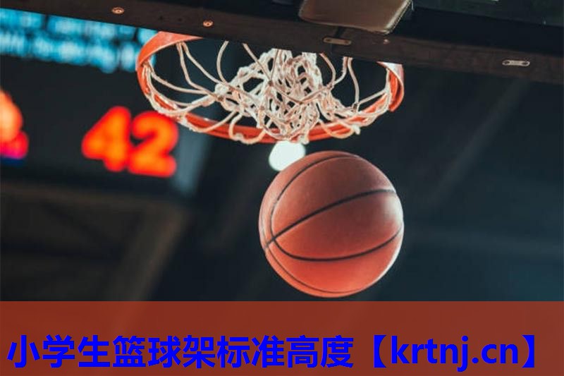 小学生篮球架标准高度 小学生篮球架标准高度