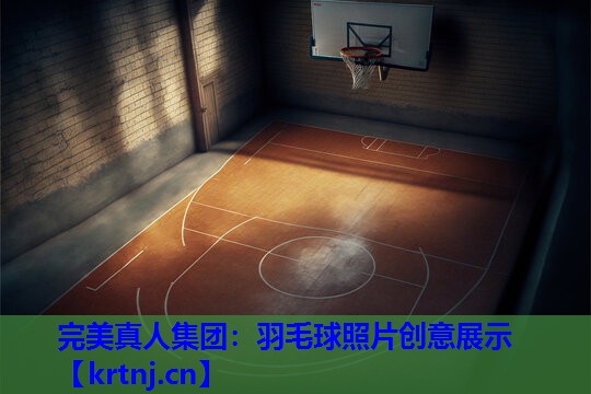 羽毛球照片创意展示 羽毛球照片创意展示