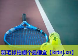 羽毛球拍哪个最便宜 羽毛球拍哪个最便宜