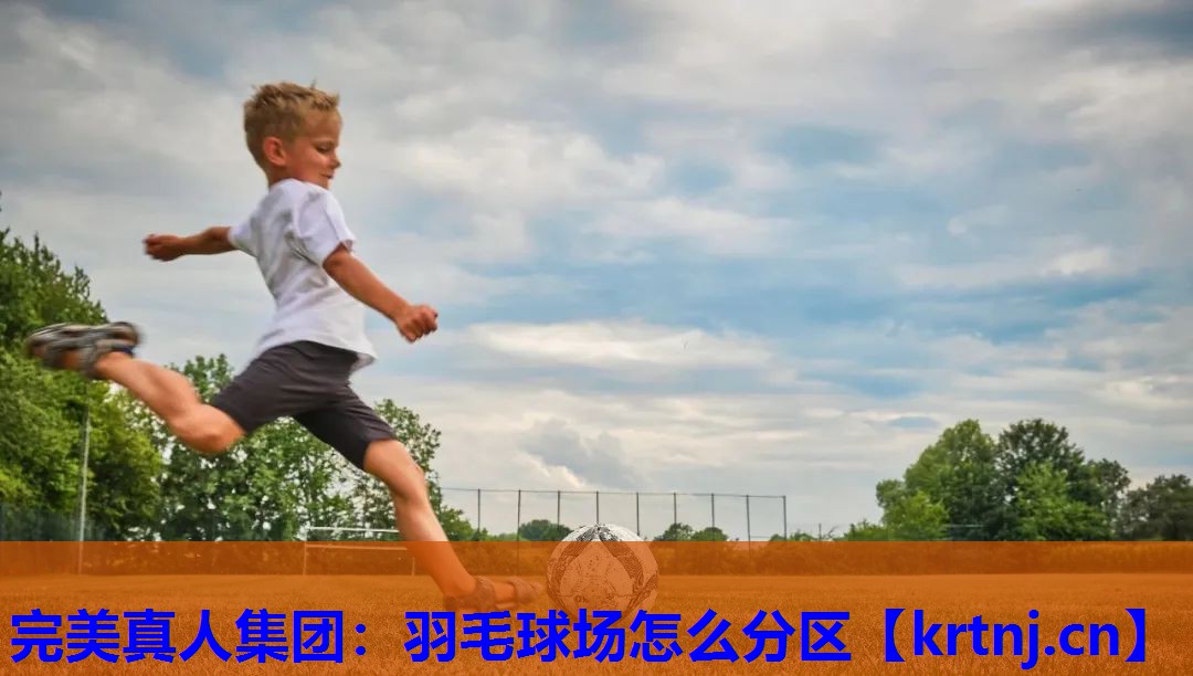 羽毛球场怎么分区 羽毛球场怎么分区