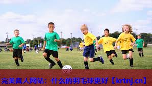 什么的羽毛球更好 什么的羽毛球更好