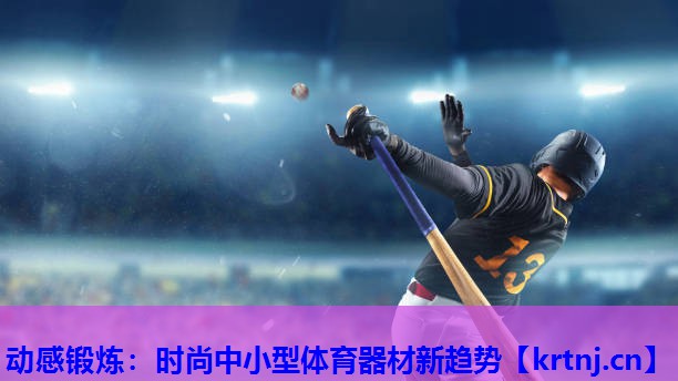 动感锻炼:时尚中小型体育器材新趋势 动感锻炼:时尚中小型体育器材新趋势