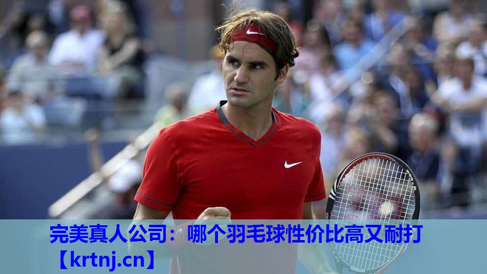 哪个羽毛球性价比高又耐打 哪个羽毛球性价比高又耐打
