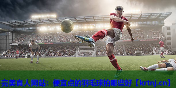 便宜点的羽毛球拍哪些好 便宜点的羽毛球拍哪些好