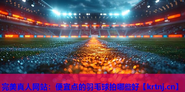 便宜点的羽毛球拍哪些好 便宜点的羽毛球拍哪些好