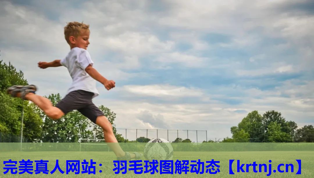 羽毛球图解动态 羽毛球图解动态
